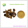 High Quality 100% Natural Fructus Chebulae Extract Powder